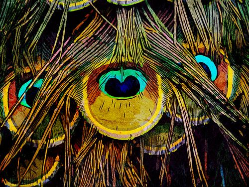 De staart van een pauw