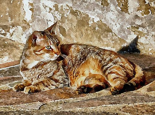 Ik en mijn schaduw zonnen