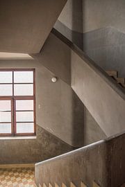 Grazing light by Dick Carlier