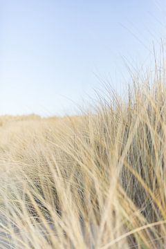 Strand en Duinen  van Chantal Cornet