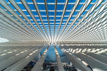 Lines under the roof by Werner Lerooy