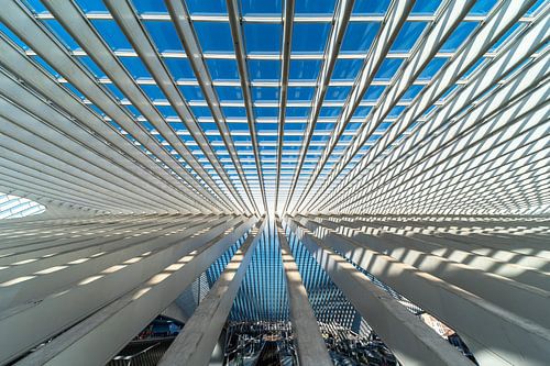 Leinen unter dem Dach von Werner Lerooy