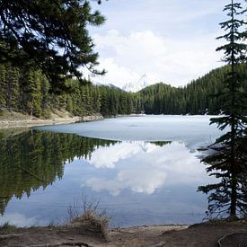 Moose lake in de Rocky Mountains Canada van Ohana