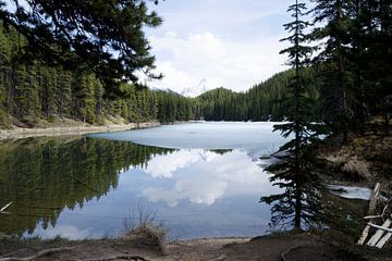 Moose lake in de Rocky Mountains Canada van Ohana