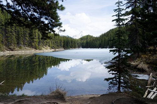 Moose lake in the Rocky Mountains Canada