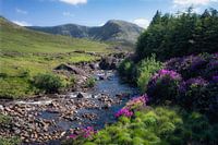 Erriff River (Co. Mayo, Ireland)