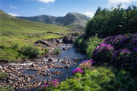 Erriff River (Co. Mayo, Irland) von Niko Kersting
