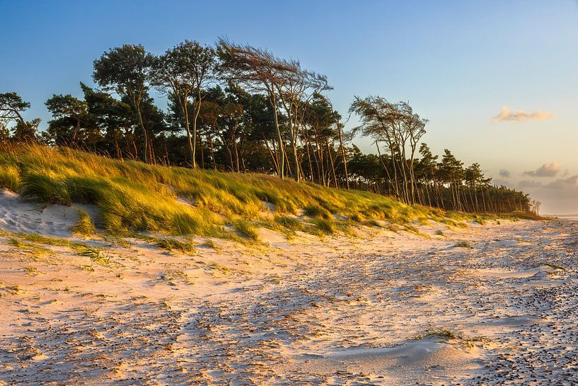 Golden evening light on the west beach by Daniela Beyer