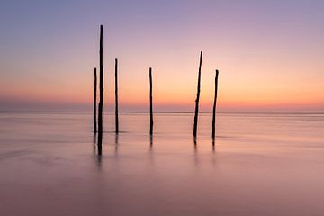 Serene calm by the Wadden Sea, fishing poles in the water by KB Design & Photography (Karen Brouwer)