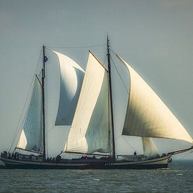 Zeilend over de zee van Mart Houtman