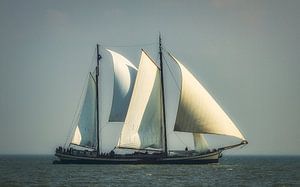 Zeilend over de zee