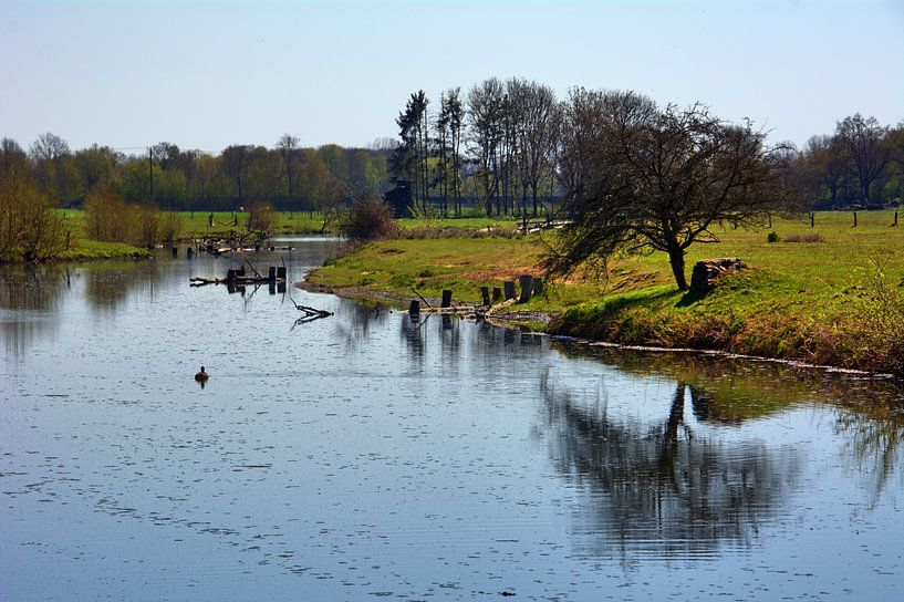 Steverblick van Edgar Schermaul