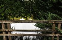 De brug