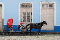 Pferd und Wagen in Trinidad (Kuba)