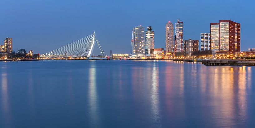 Rotterdam skyline panorama van Ilya Korzelius