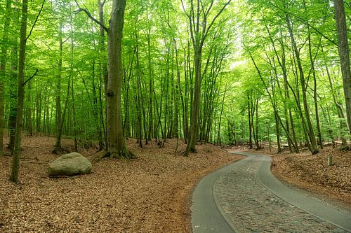 Parc national de Wolinski sur Richard Wareham
