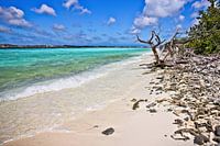 Klein Bonaire