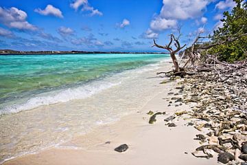 Klein Bonaire van Johnny van der Leelie