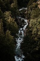 River through the forests of Switzerland, Europe