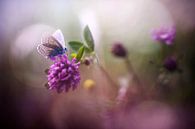 Just be you by Bob Daalder thumbnail