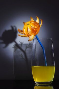 De Limonade Bloem van Tjerk Smit Photo