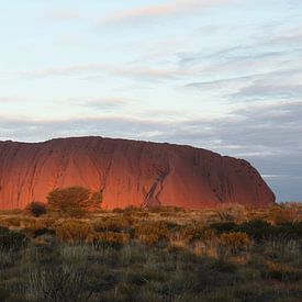 Ondergaande zon bij Uluru (Ayers Rock)