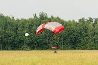 Landende parachutist in een weiland van Tonko Oosterink thumbnail
