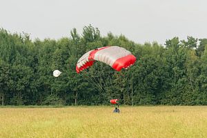 Landende parachutist in een weiland