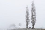 Zwei von Lars van de Goor Miniaturansicht