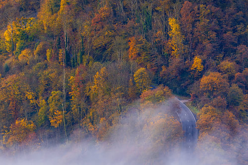 En route à travers l'automne