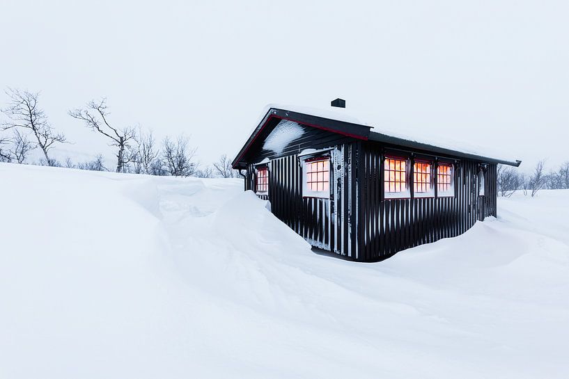 Attractive wooden hut in winter landscape by Martijn Smeets