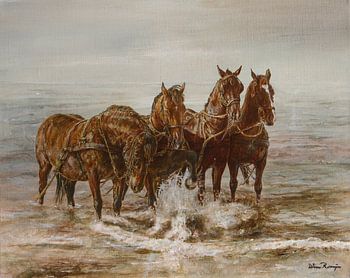 Reddingbootpaarden van Ameland