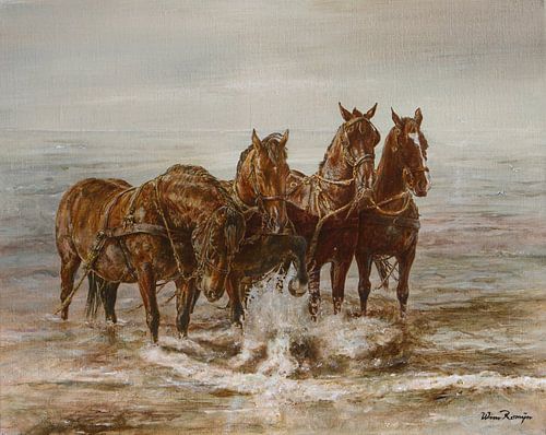 Reddingbootpaarden van Ameland