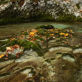 Waterfall with autumn colors in Triglav National Park, Slovenia by Gunther Cleemput