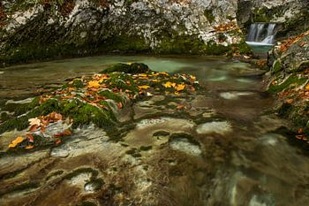 Chute d'eau avec des couleurs d'automne dans le parc national de Triglav, Slovénie