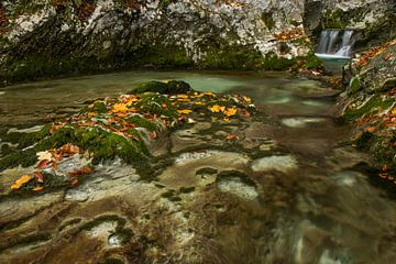 Waterval met herfstkleuren in Triglav Nationaal Park te Slovenië van Gunther Cleemput