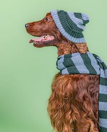 dog scarf by Elke De Proost