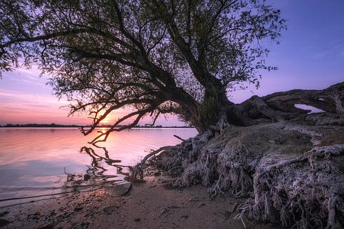 Zonsondergang bij rivieroever