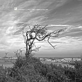 B&W Strände Sammlung Karen van de Kerkhove von Karen van de Kerkhove