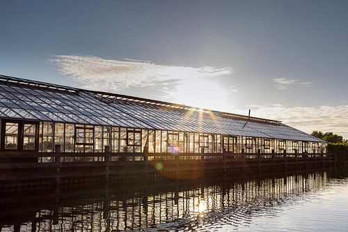 Sonnenlicht über der Vergangenheit