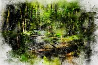 De brug in het bos van Claudia Evans thumbnail