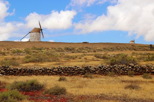 Fuerteventura, Canarische eilanden