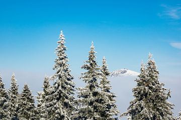 Winter in the Giant Mountains van Rico Ködder