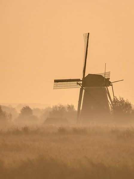 Goldene Stunde von Trudiefotografie