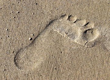 Enkele voetafdruk in het zand op het strand van de Oostzee van MPfoto71