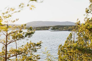 Landschap,  Langøyene Oslo Noorwegen van Romy de Waal