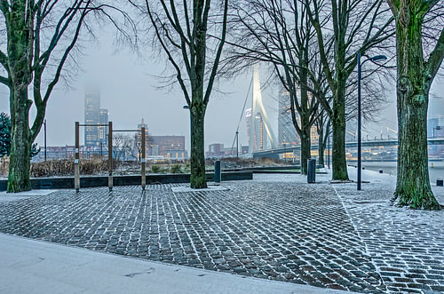Quayside Park in February