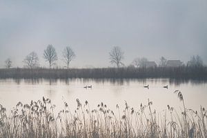 Neblige ländliche Landschaft mit Enten auf dem Teich II