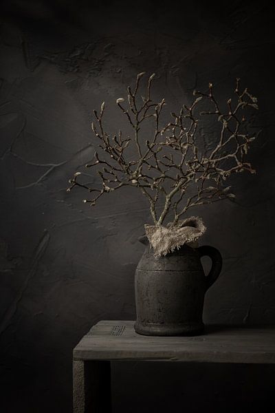 Nature morte avec branche de magnolia en bourgeon dans un pot en pierre (vertical) par Mayra Fotografie
