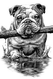 Schattige buldog – gedetailleerde vintage lijntekening
